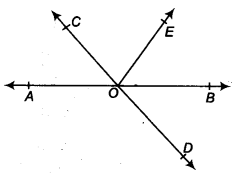 NCERT Solutions for Class 9 Maths Chapter 4 Lines ex1 1